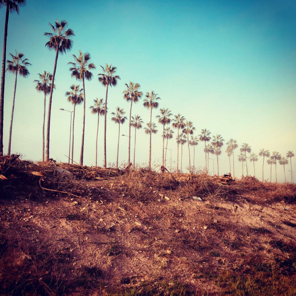Aïn Diab Casablanca