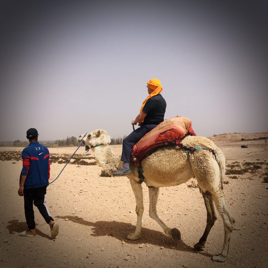 Desert d'Agafay balade dromadaire