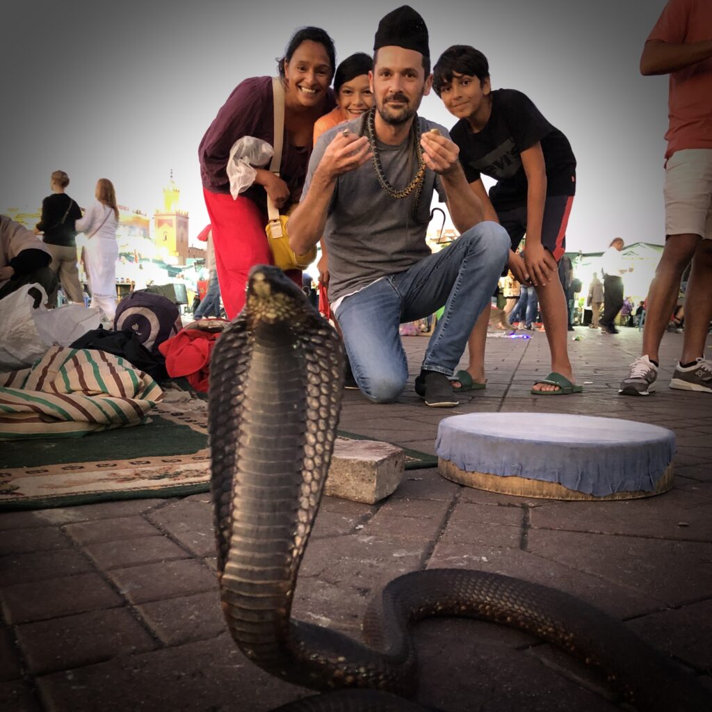Place Jemaa el-Fna Marrakech serpent