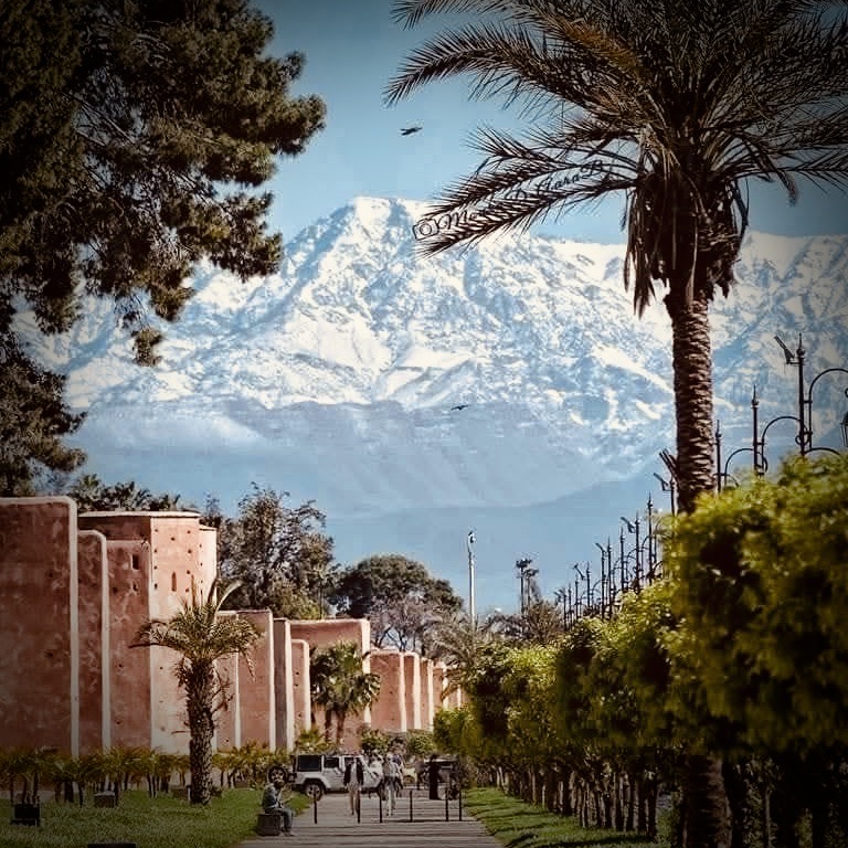 Montage AI Maroc