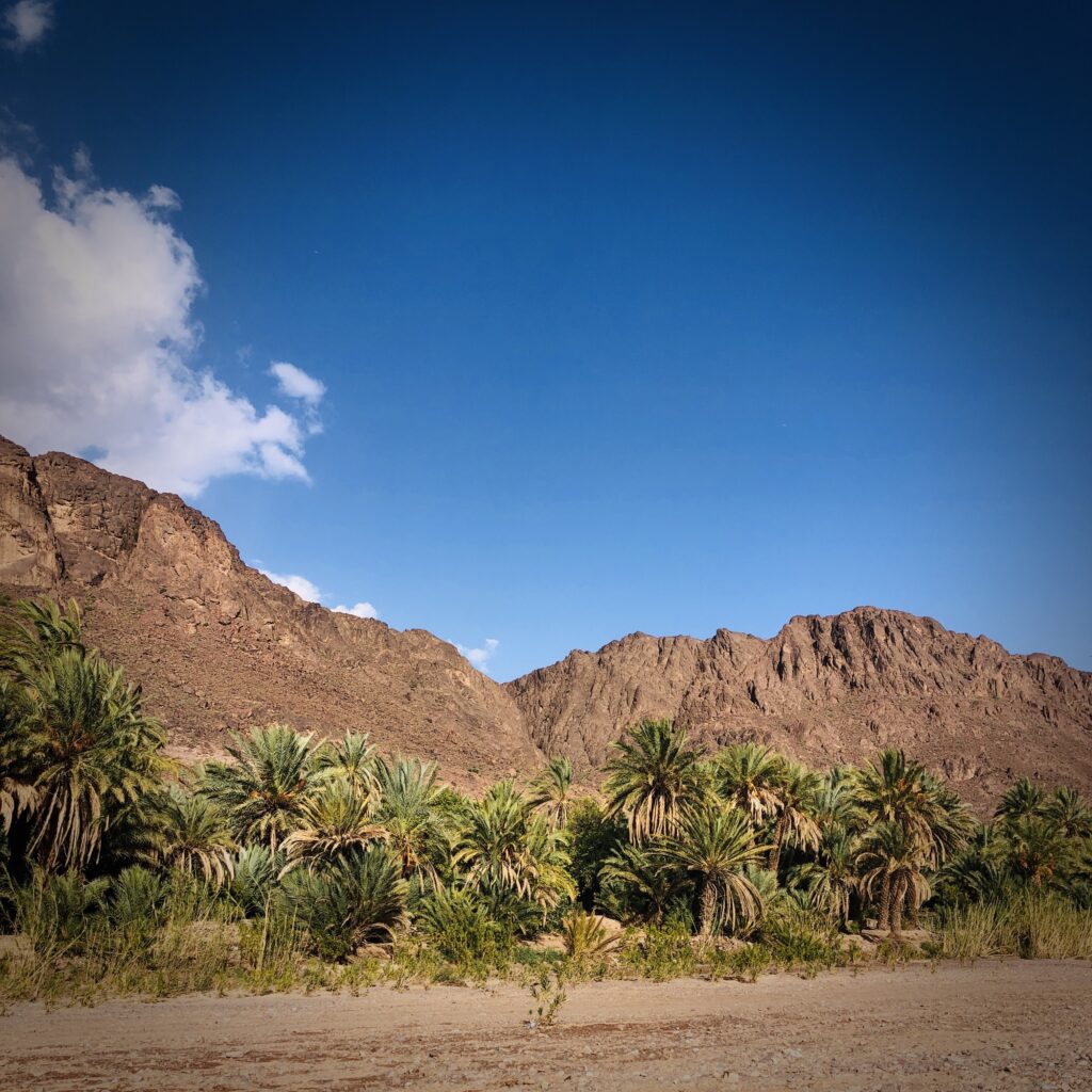 Oasis de Fint - Ouarzazate